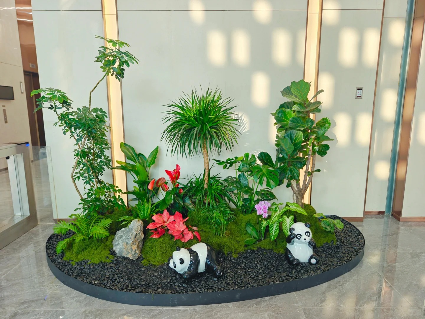 了解余姚植物租摆价格，别花冤枉钱！